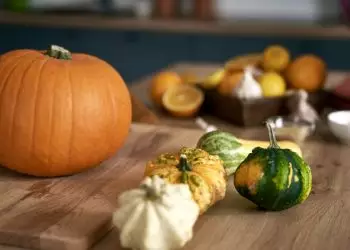 Julho marca início do plantio de culturas adaptadas ao clima frio