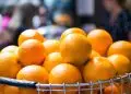 Laranja e cana-de-açúcar entram na lista de bônus do PGPAF em junho