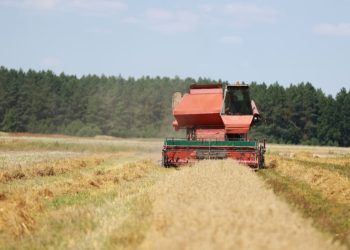 Mudanças no IOF alteram custos do crédito para o setor agropecuário; entenda os impactos