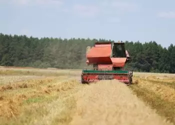 Mudanças no IOF alteram custos do crédito para o setor agropecuário; entenda os impactos