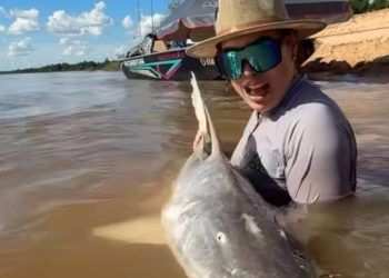 Naiara Azevedo fisga piraíba durante pescaria esportiva no Rio Araguaia