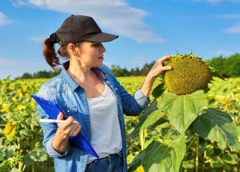 Nova norma regulamenta procedimentos da fiscalização agropecuária no Brasil