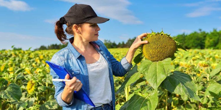 Nova norma regulamenta procedimentos da fiscalização agropecuária no Brasil