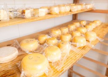 produtos de origem animal