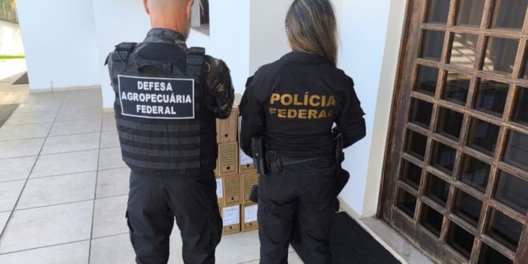 Operações investigam irregularidades em cargas de soja e farelo para exportação