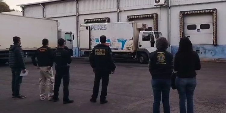 PF desarticula esquema de tráfico de pescados com falsificação de selos em sete estados
