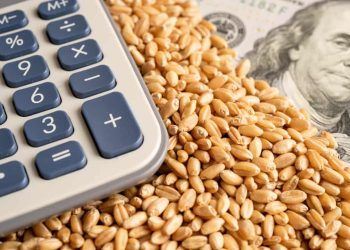 PIB de Goiás avança no 1° trimestre com impulso da agropecuária