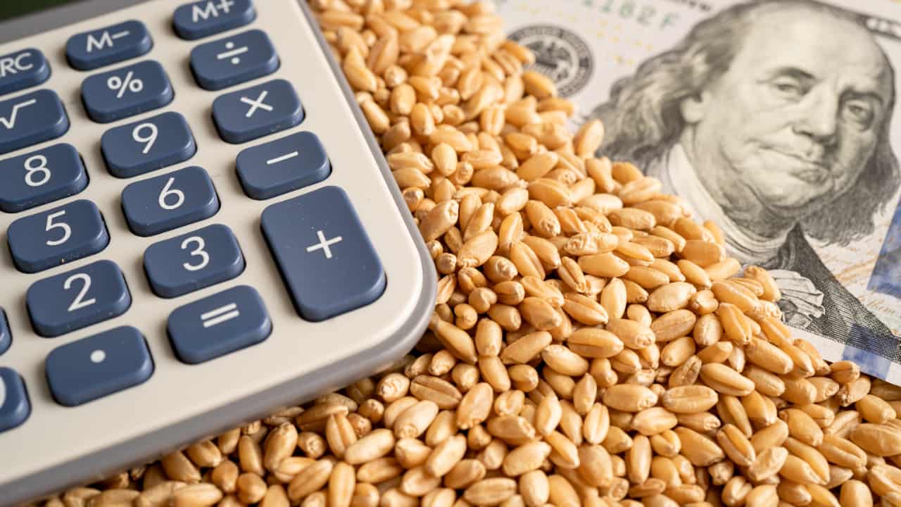 PIB de Goiás avança no 1° trimestre com impulso da agropecuária