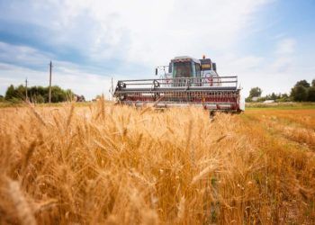 PIB goiano tem expansão de 7,7% nos quatro primeiros meses do ano