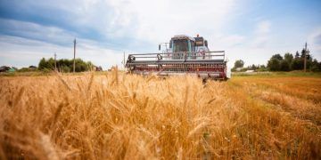 PIB goiano tem expansão de 7,7% nos quatro primeiros meses do ano
