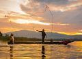 Pesca da tainha por emalhe é suspensa após atingir 90% da cota em 2025