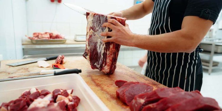 Produção de carnes deve ultrapassar 31 milhões de toneladas em 2025, estima Conab