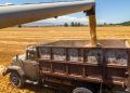 Produção de grãos na safra 2425 deve chegar a 336,1 milhões de toneladas com alta de 13%