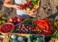 Programa de Aquisição de Alimentos divulga ranking final das propostas