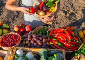 Programa de Aquisição de Alimentos divulga ranking final das propostas