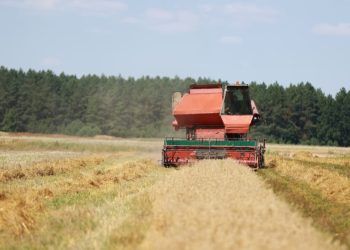 Safra 20242025 registra R$ 330,9 bilhões em operações de crédito rural
