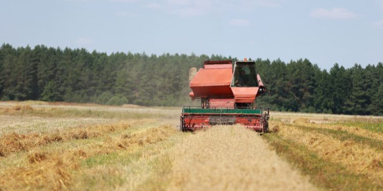 Safra 20242025 registra R$ 330,9 bilhões em operações de crédito rural