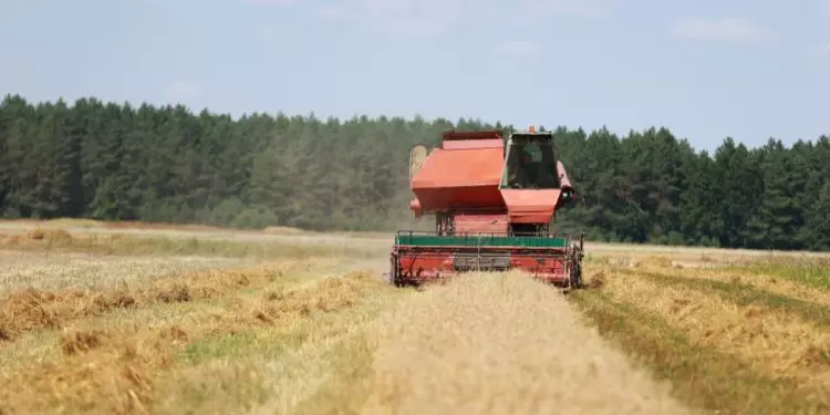 Safra 20242025 registra R$ 330,9 bilhões em operações de crédito rural