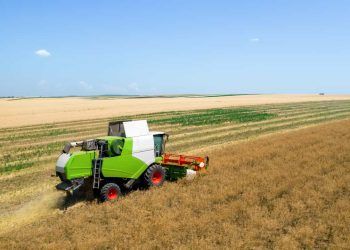 Seguro rural recebe novo aporte para atender produtores até agosto; veja como contratar