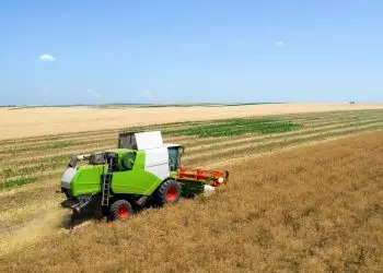 Seguro rural recebe novo aporte para atender produtores até agosto; veja como contratar