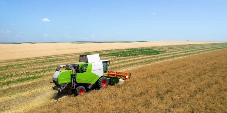 Seguro rural recebe novo aporte para atender produtores até agosto; veja como contratar