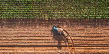 Selo do Sisbi impulsiona expansão de alimentos da agropecuária brasileira