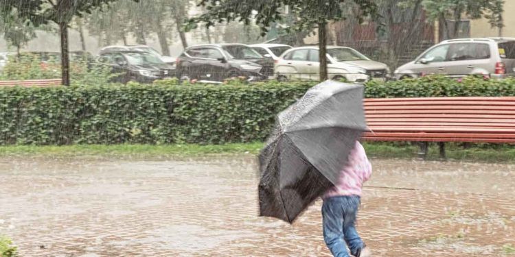 Semana terá chuvas fortes no e frio com geadas no Sul