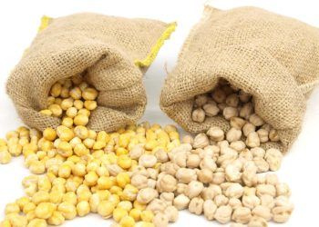 Volume exportado de soja e milho aumenta no Norte do país