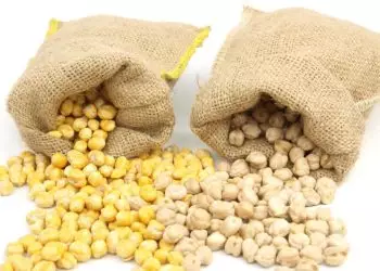 Volume exportado de soja e milho aumenta no Norte do país