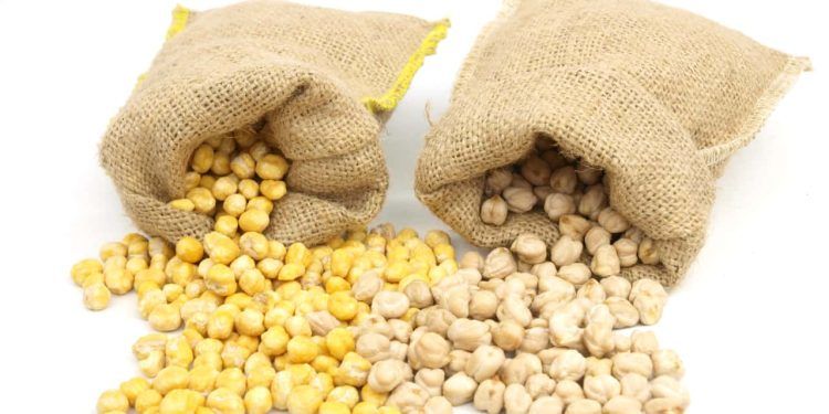 Volume exportado de soja e milho aumenta no Norte do país