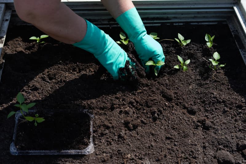 Zoneamento agrícola adota nova metodologia com foco no manejo do solo 3 ZARC
