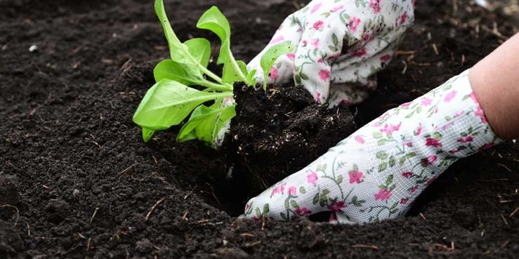 Zoneamento agrícola adota nova metodologia com foco no manejo do solo