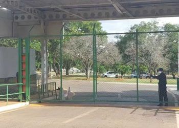 Zoologico de Brasilia confirma caso de gripe aviaria em aves silvestre
