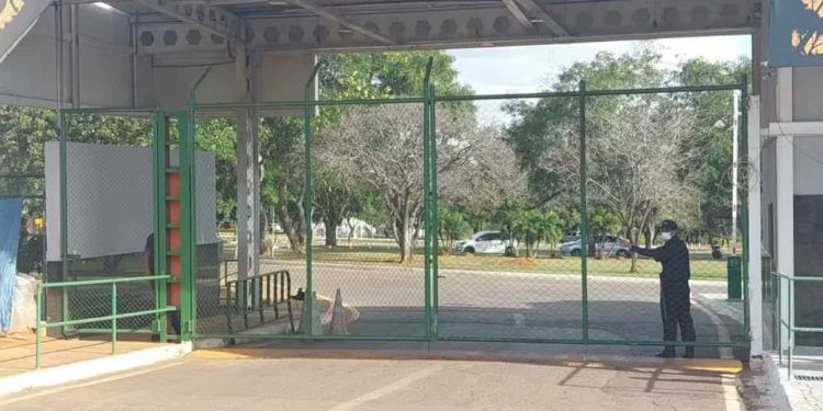 Zoológico de Brasília confirma caso de gripe aviária em aves silvestre