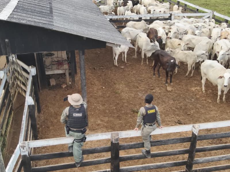 Agentes do ICMBio sofre ataques em reserva do Acre por fiscalização de pecuária ilegal 2 Agentes do ICMBIO