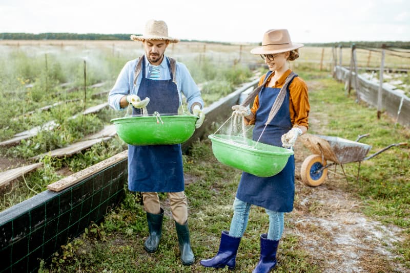 Goiás inicia coleta dados para traçar panorama da agricultura familiar 2 Agricultura familiar