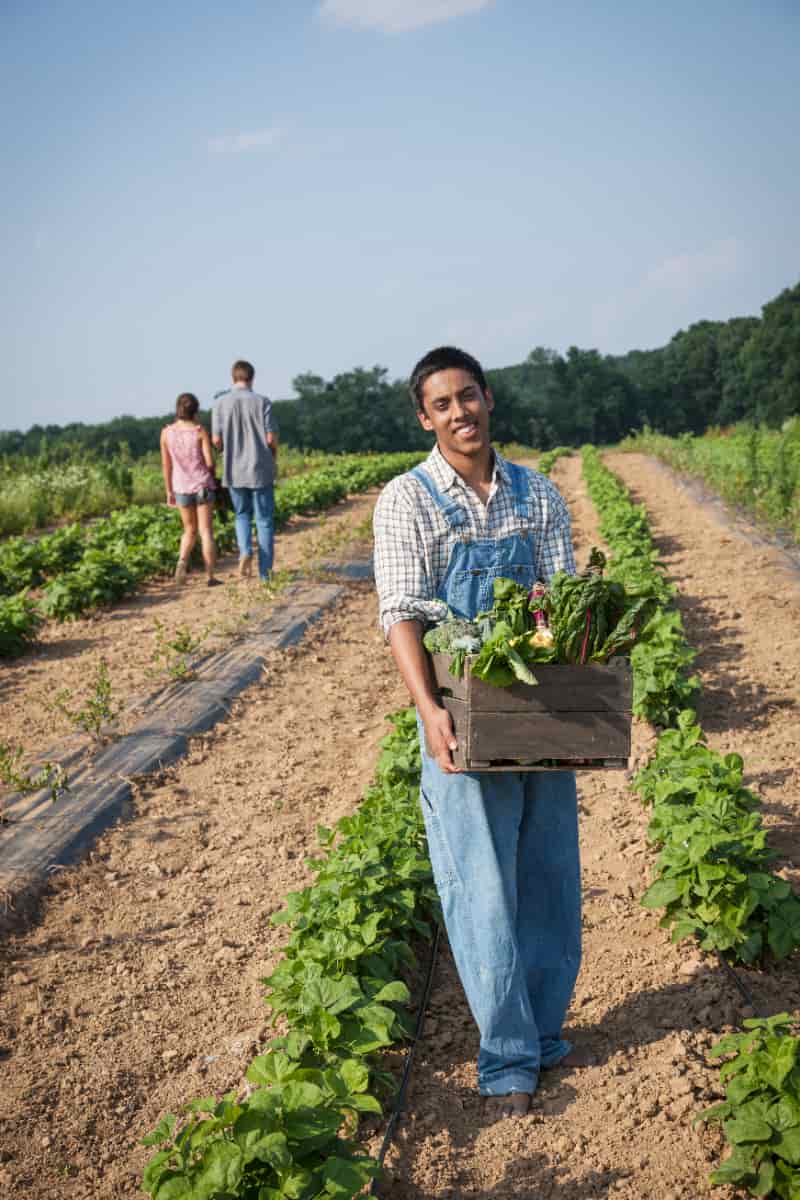 Goiás inicia coleta dados para traçar panorama da agricultura familiar 3 Agricultura familiar em Goiás