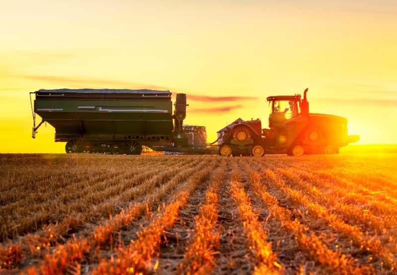 PIB de Goiás avança no 1° trimestre com impulso da agropecuária 3 Agropecuária