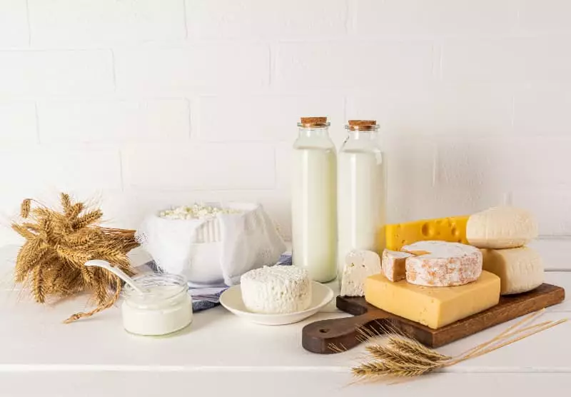 Alimentos de origem animal