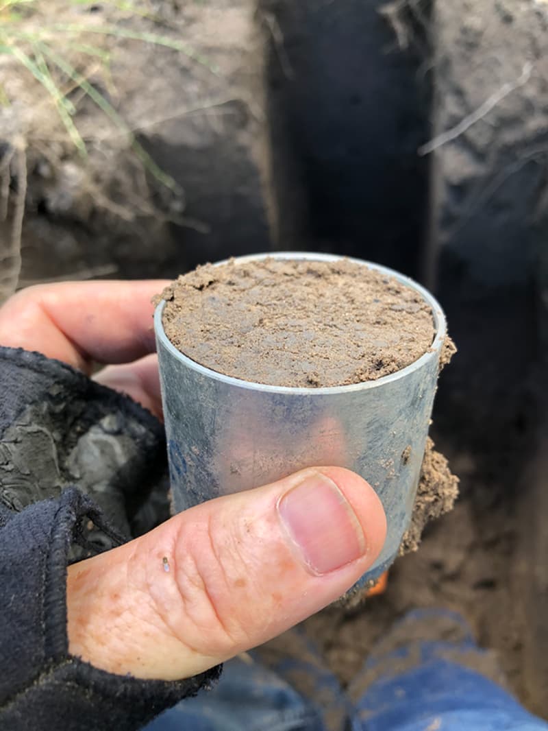Integração lavoura-pecuária eleva produtividade e estoque de carbono no Matopiba 2 Carbono