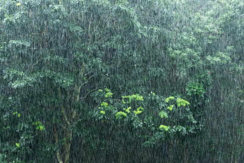 Semana terá chuvas fortes no Norte e frio com geadas no Sul, aponta Inmet 3 Chuvas
