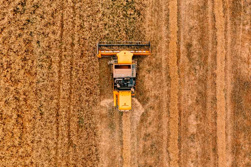 Safra 2024/2025 registra R$ 330,9 bilhões em operações de crédito rural 2 Crédito rural