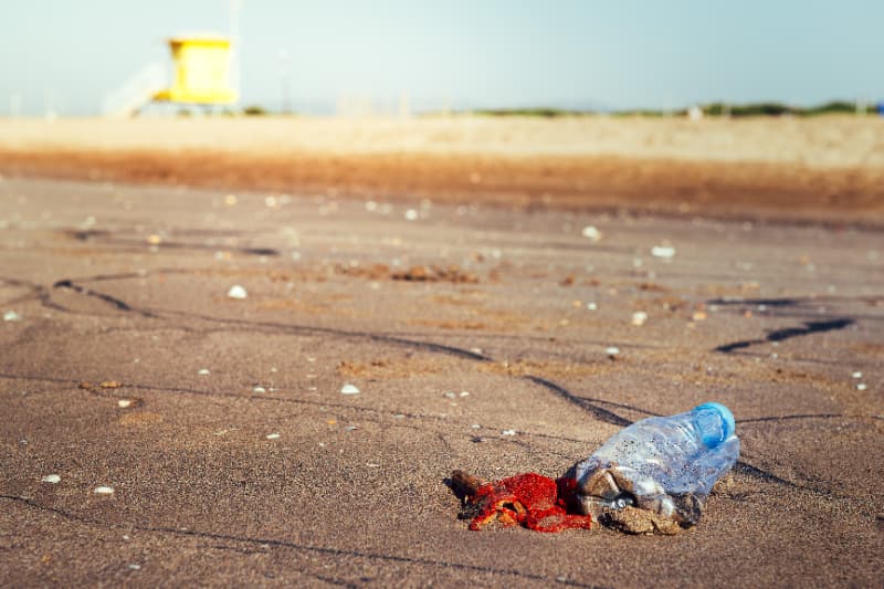 Crimes ambientais somam mais de 41 mil casos em nove estados entre 2023 e 2024 3 Crime contra meio ambiente