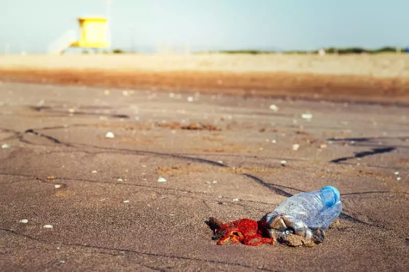 Crime contra meio ambiente