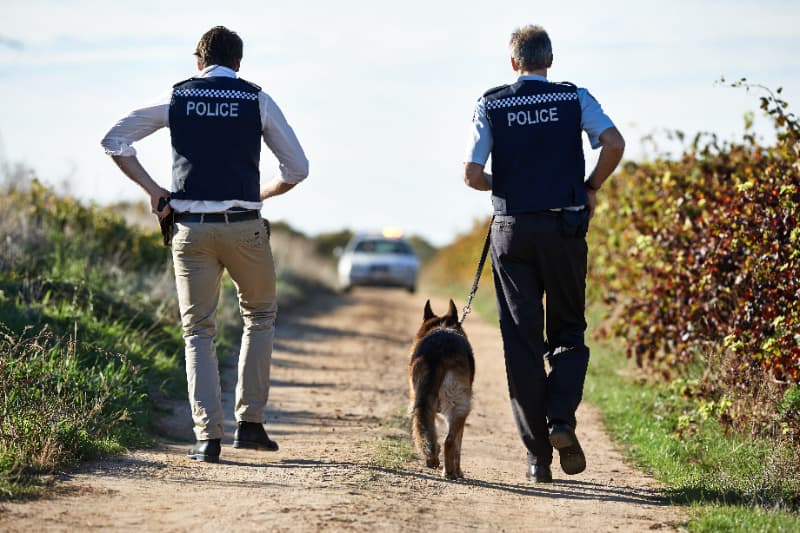 Criminalidade rural recua em Goiás com expansão do policiamento especializado 3 Crimes rurais