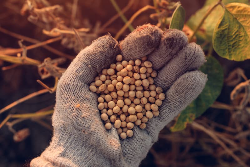 Balança comercial de Goiás registra superávit de US$ 3,2 bilhões no 1° semestre de 2025 3 Dados da balança