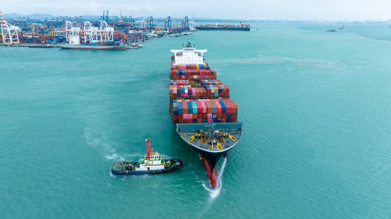 Exportação