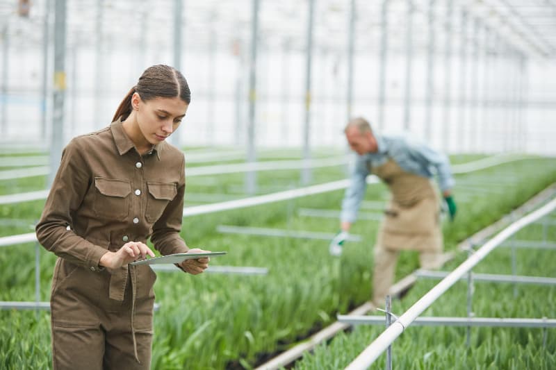 Nova norma regulamenta procedimentos da fiscalização agropecuária no Brasil 3 Fiscalização