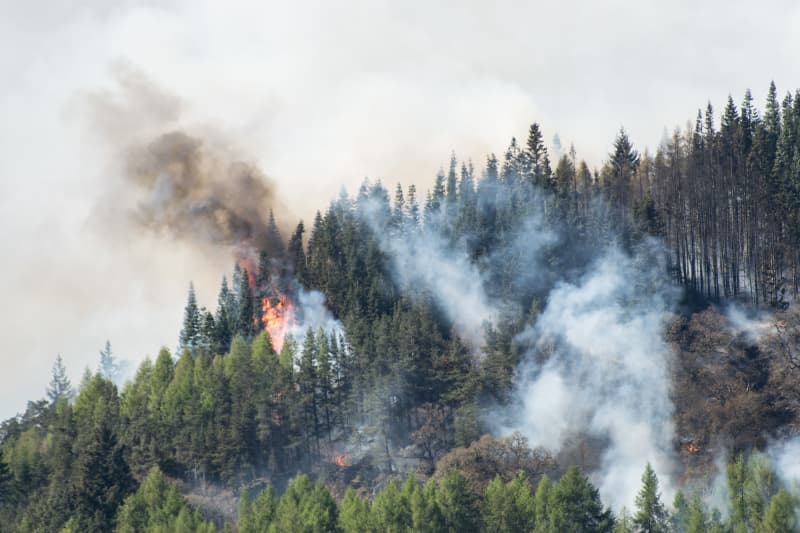 Nova lei cria mecanismos para fortalecer resposta a incêndios florestais 2 Incêndios florestais