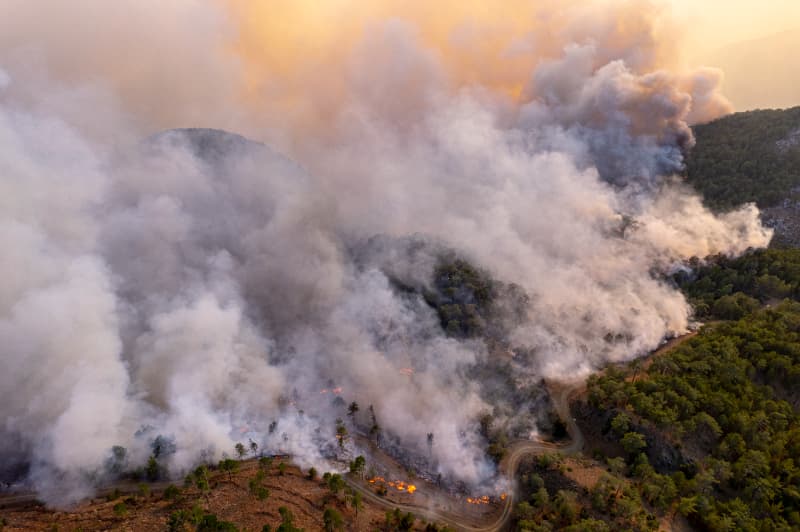Legislação ambiental é reforçada com aumento de penas para incêndios em florestas 2 Legislação ambiental